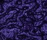 [ &raquo; ]  Full Size Image - Click to View