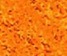 [ &raquo; ]  Full Size Image - Click to View