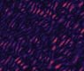 [ &raquo; ]  Full Size Image - Click to View
