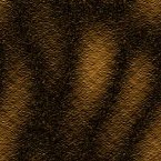 [ &circ; ]  Full Size Image - Click to View