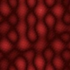 [ &circ; ]  Full Size Image - Click to View