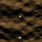 [ &laquo; ]  Full Size Image - Click to View