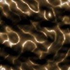 [ &raquo; ]  Rate this Image!