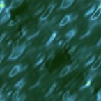 [ &raquo; ]  Full Size Image - Click to View