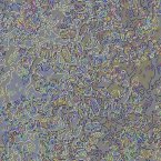 [ &raquo; ]  Rate this Image!