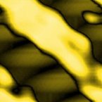 [ &raquo; ]  Go to Category: Yellow