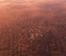[ » ]  Full Size Image - Click to View